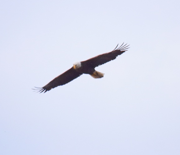 2019 05 08 HTP 90165e